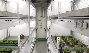 plant growth and entomology chambers